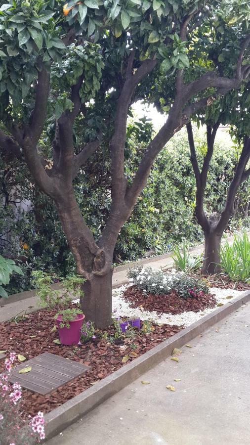 קאן סור מר Lovely House מראה חיצוני תמונה